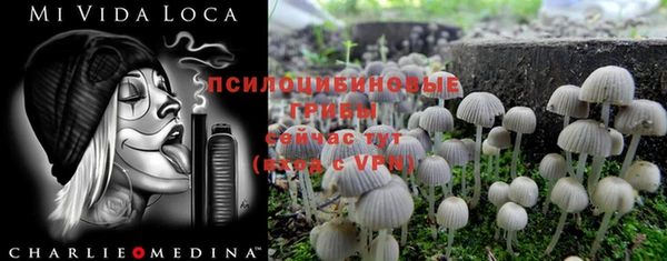 скорость Балахна