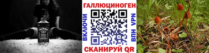Галлюциногенные грибы Cubensis  Богучар 